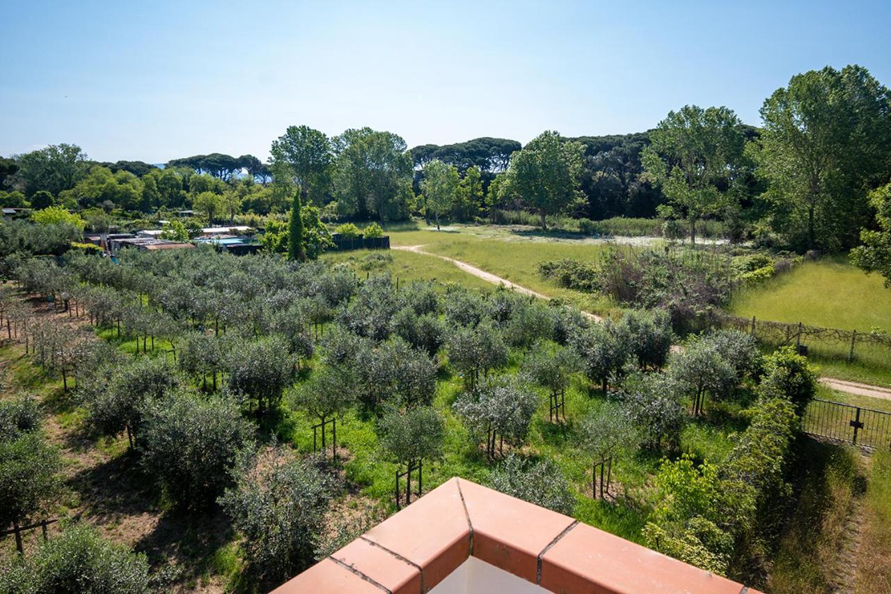 Attico Di Torsten Apartment Torre del Lago Puccini Bagian luar foto